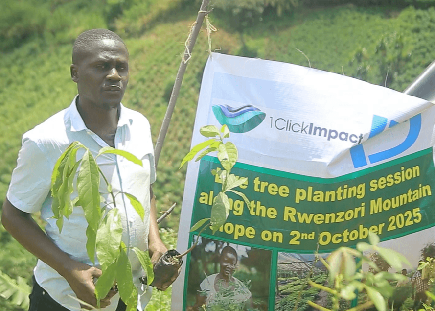 Plant Trees