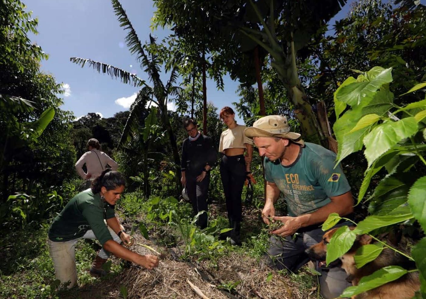 Eco Caminhos programme photo