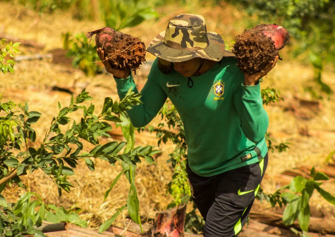 Eco Caminhos programme photo