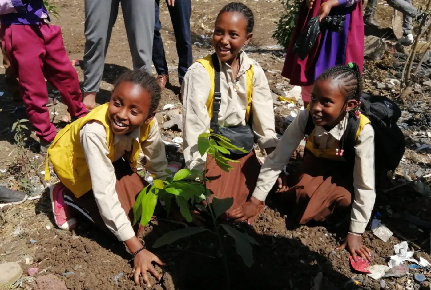 Food Secured Schools Africa (FSSA) programme photo