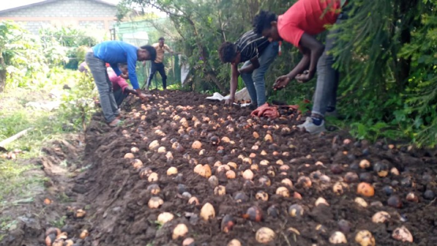 Food Secured Schools Africa (FSSA) programme photo