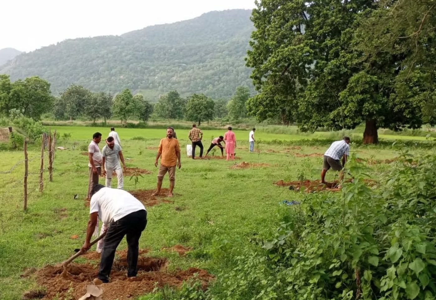 Sustainable Green Initiative (SGI) Foundation programme photo