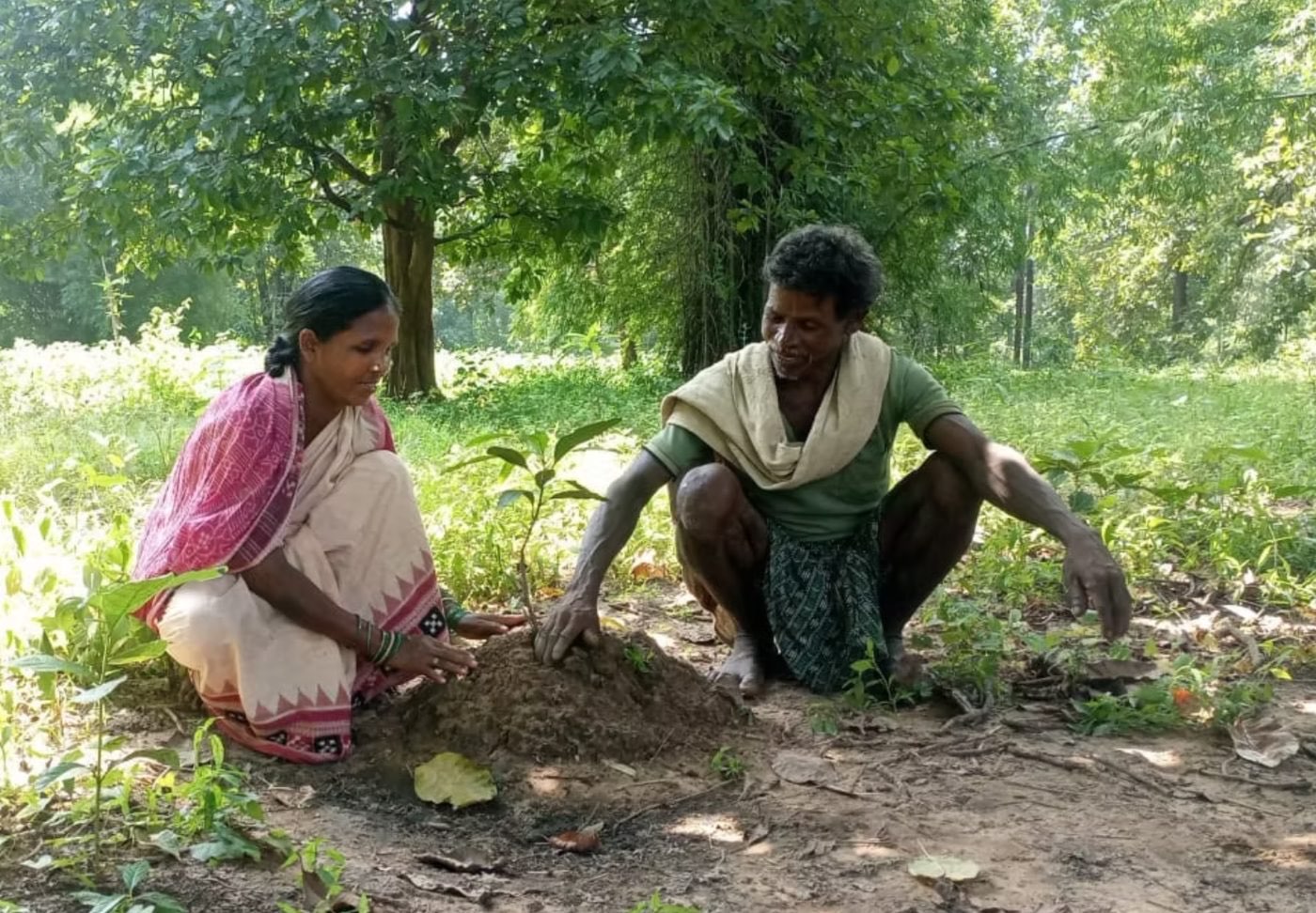 Sustainable Green Initiative (SGI) Foundation programme photo