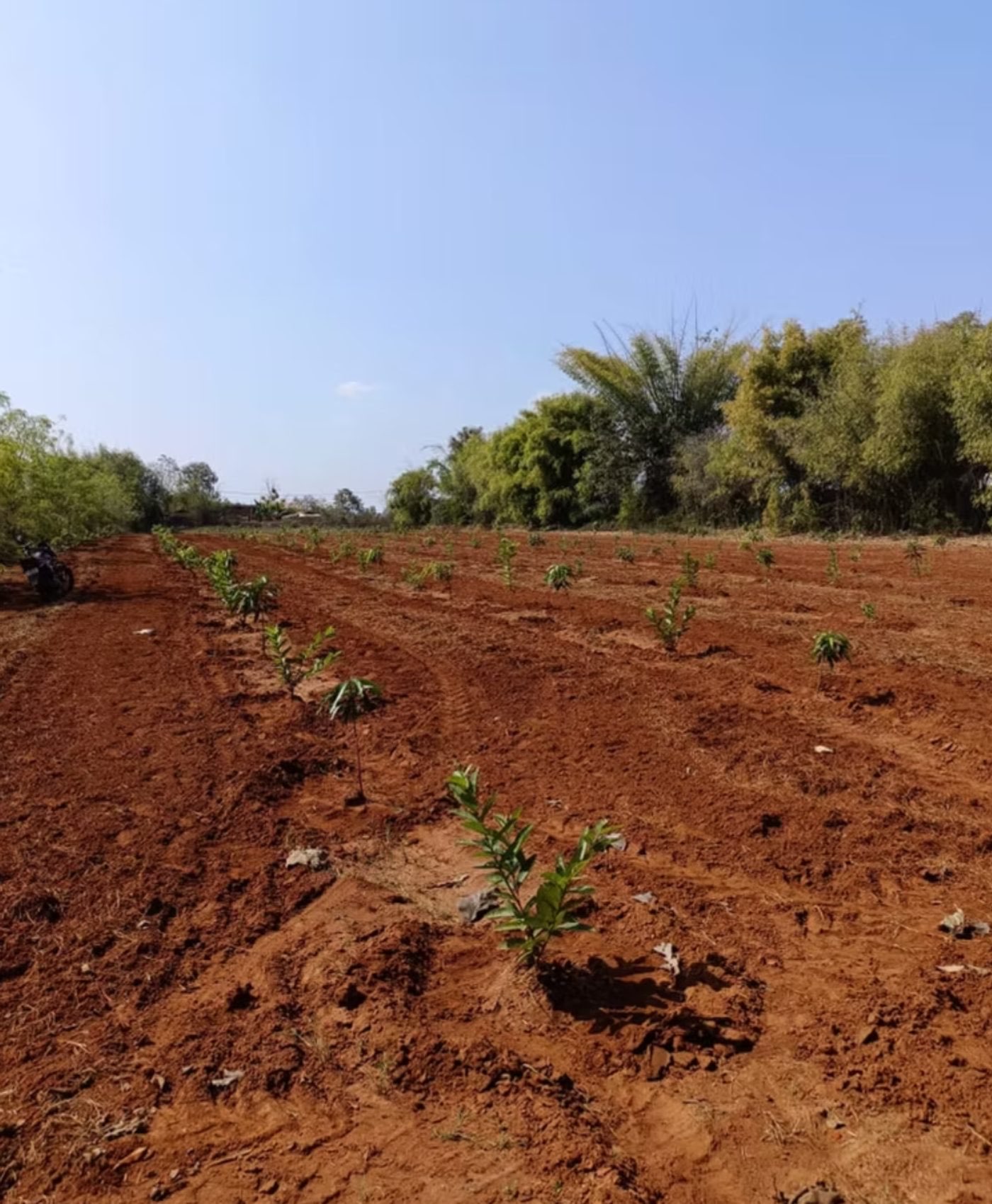 Sustainable Green Initiative (SGI) Foundation programme photo