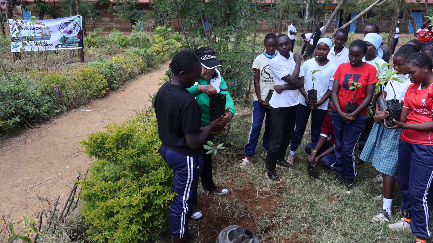 Community Organization for Positive Impact, Care and Development (COPICAD) programme photo