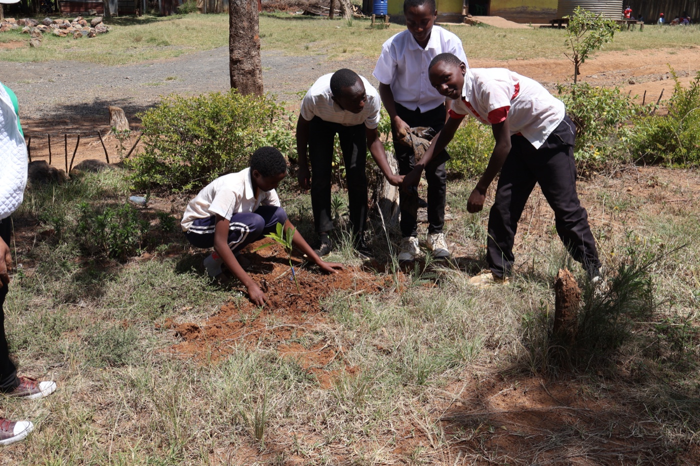 Community Organization for Positive Impact, Care and Development (COPICAD) programme photo