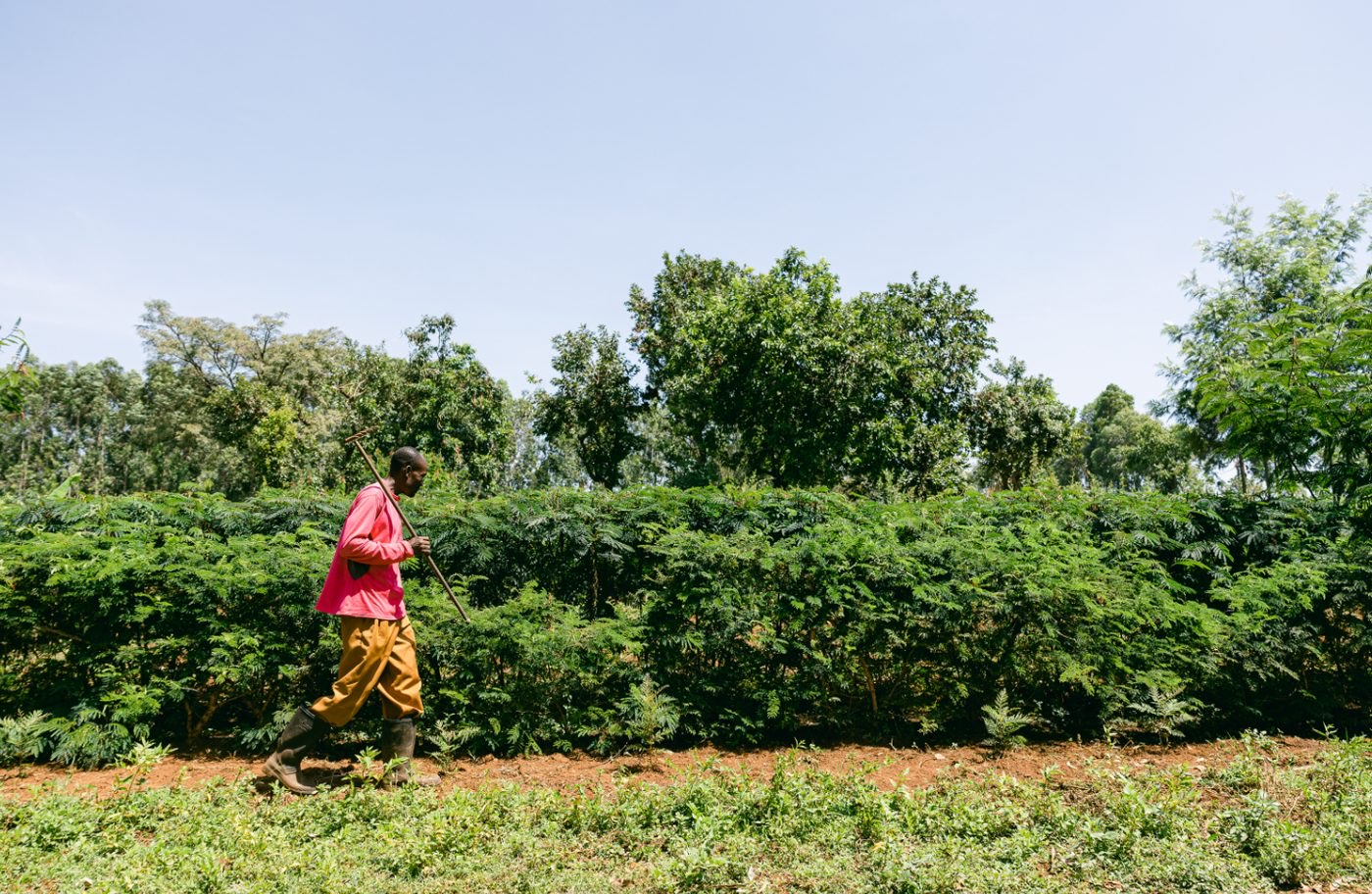 Forest Garden Program programme photo