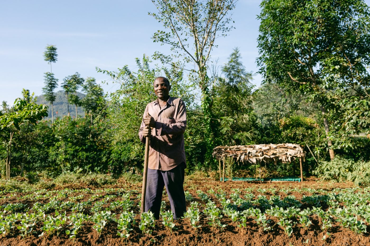 African Union's Great Green Wall (GGW) programme photo