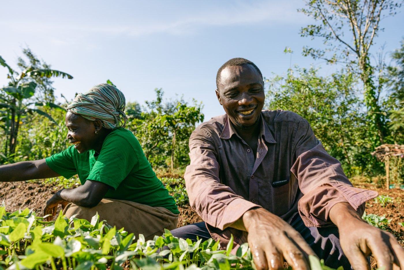 African Union's Great Green Wall (GGW) programme photo