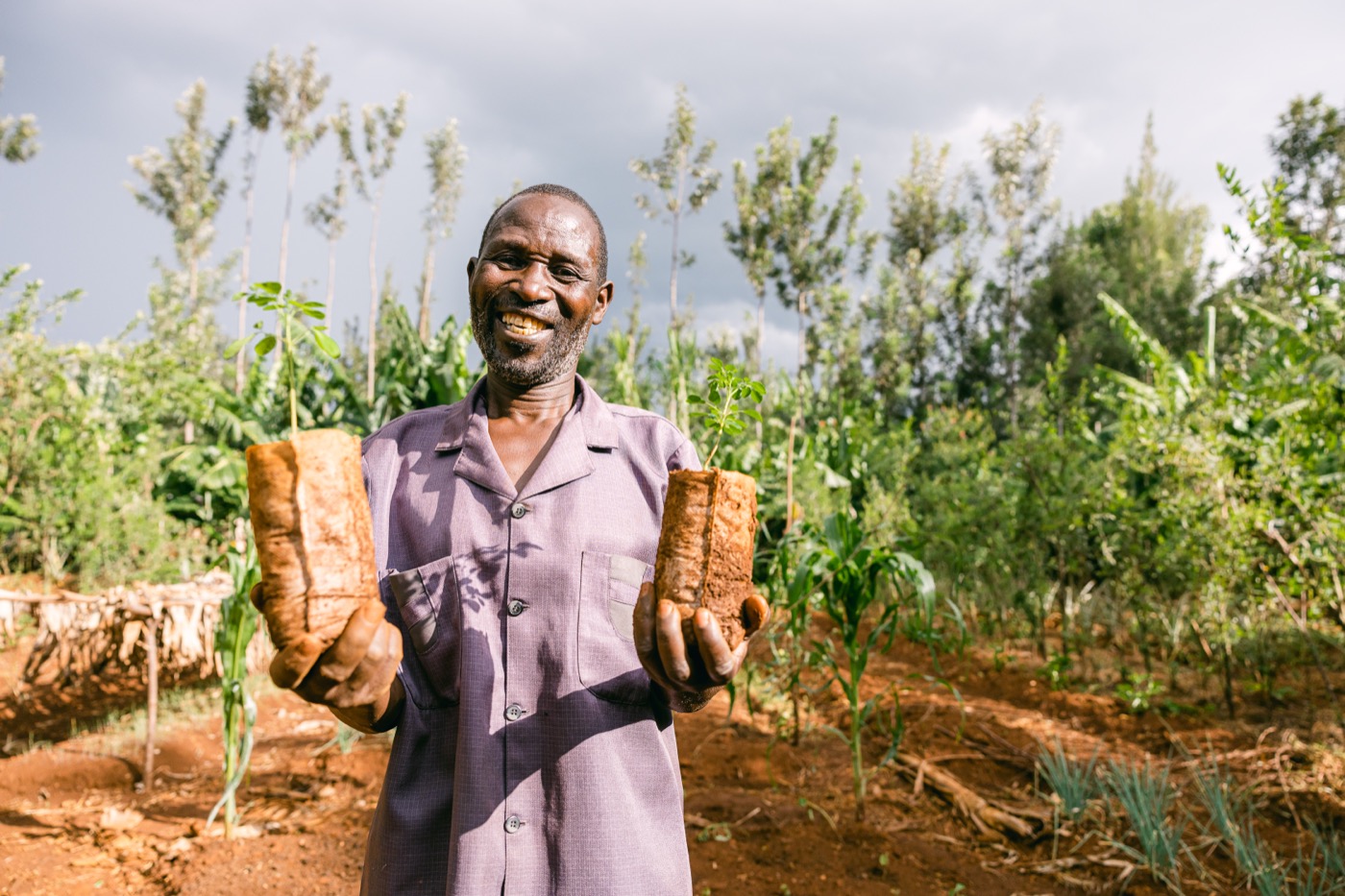 Forest Gardens in Tanzania programme photo