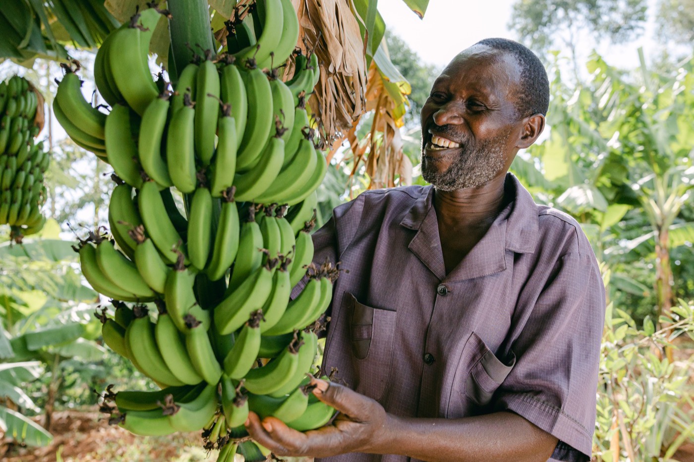 Forest Gardens in Tanzania programme photo