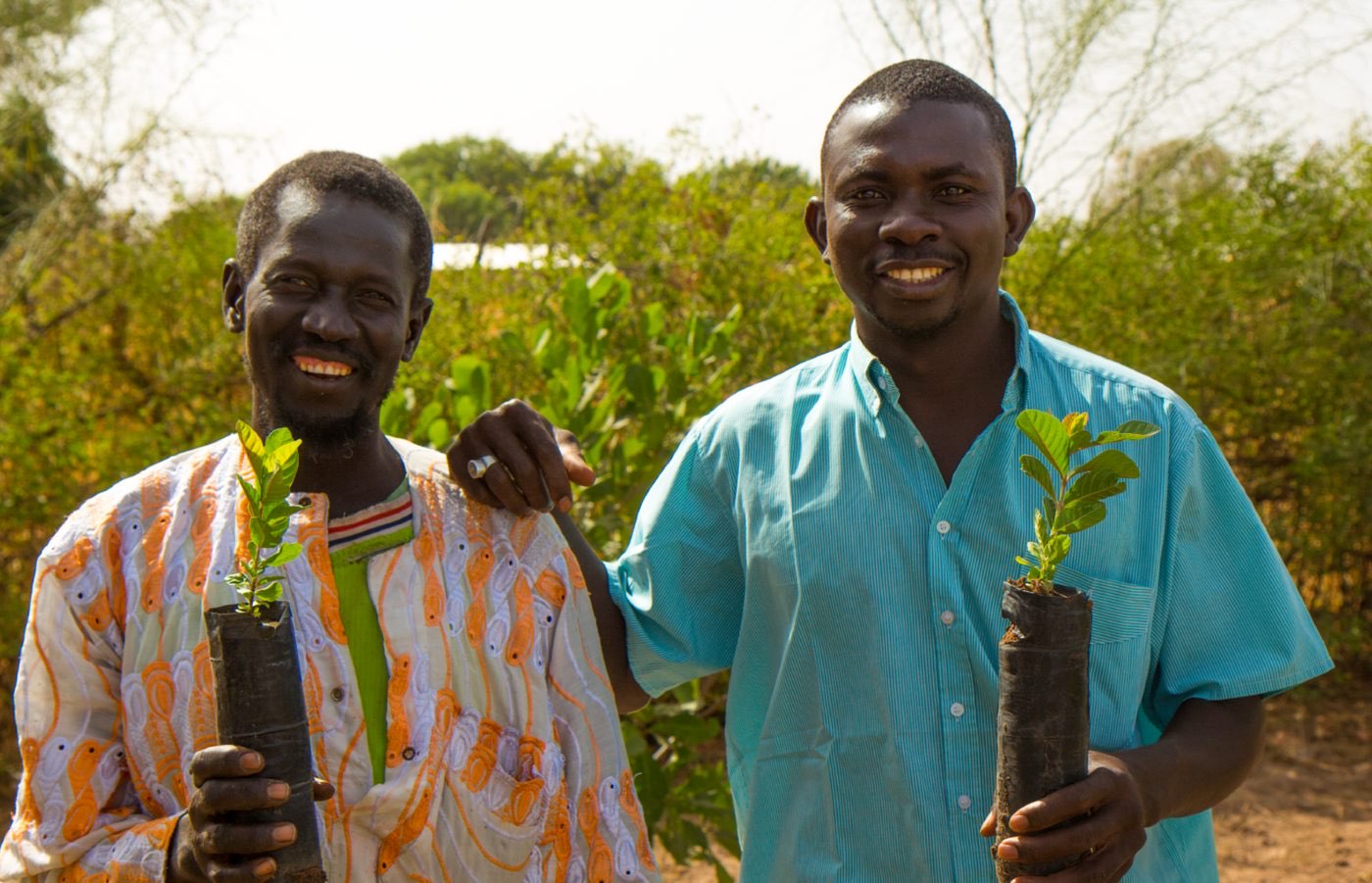 Forest Garden Program programme photo